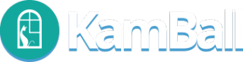Логотип компании KamBall