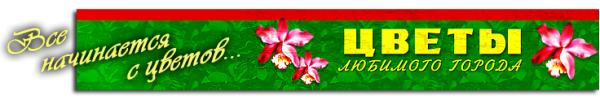Логотип компании Цветы любимого города